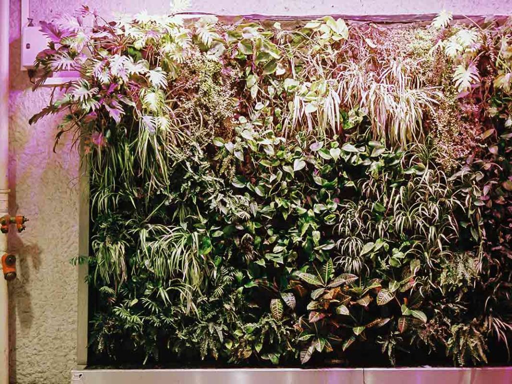 ajouter des plantes pour apporter de la vie et de la verdure a la piece