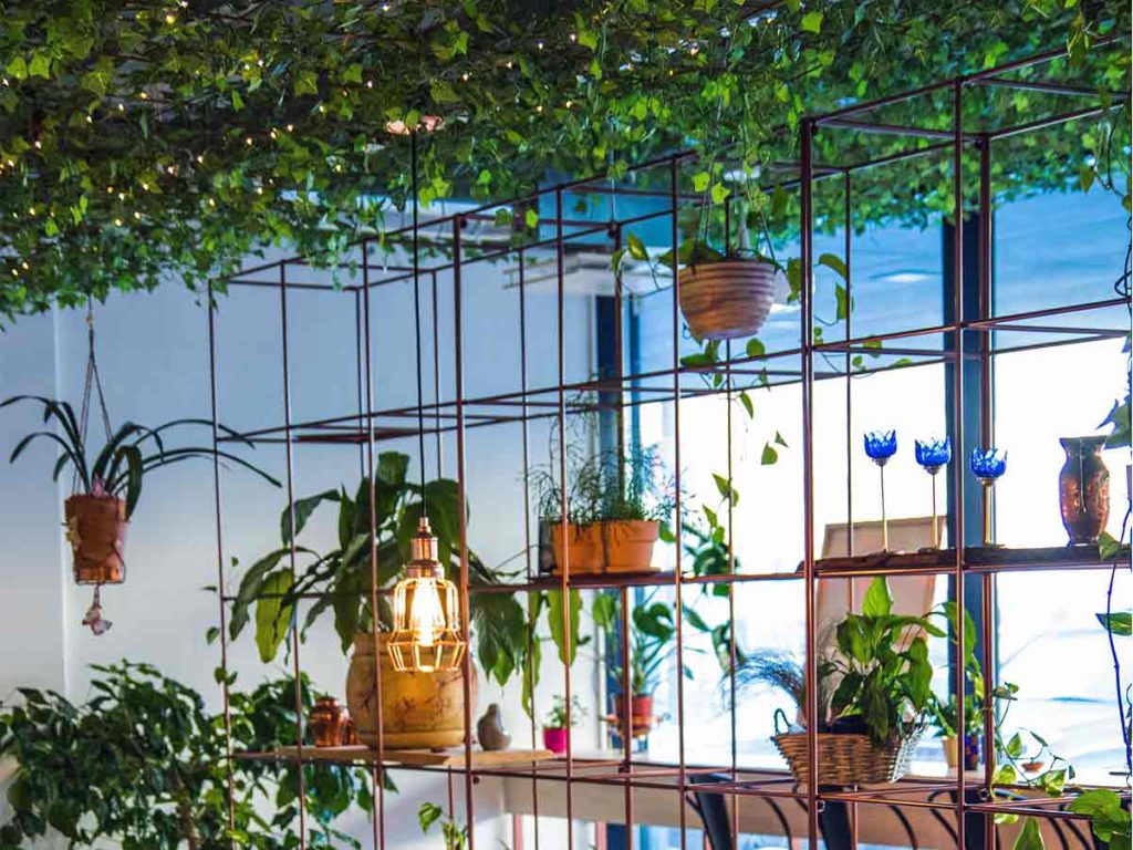 tuyau décoré avec des plantes suspendues