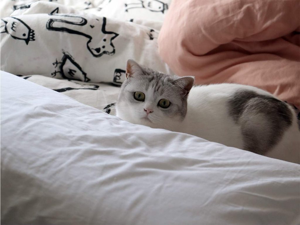 nouvelle disposition des meubles dans une chambre