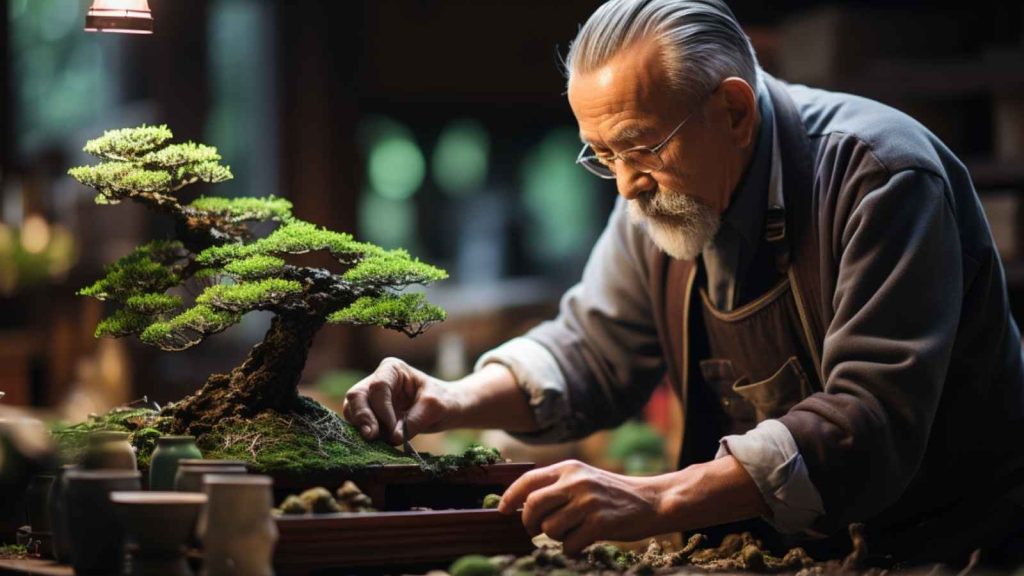 conseils pour maintenir un bonsai en bonne sante