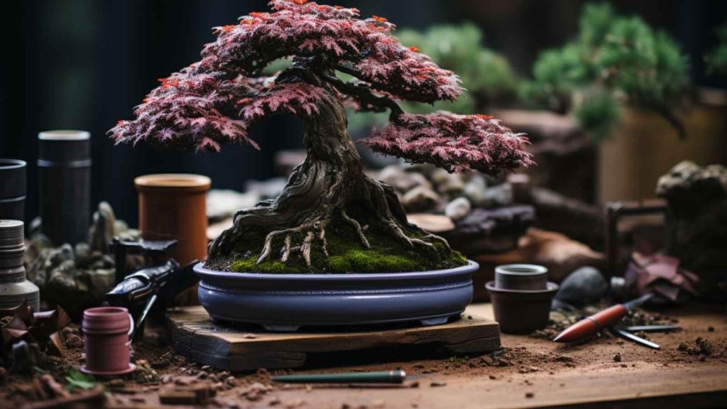 etapes pour tailler un bonsai