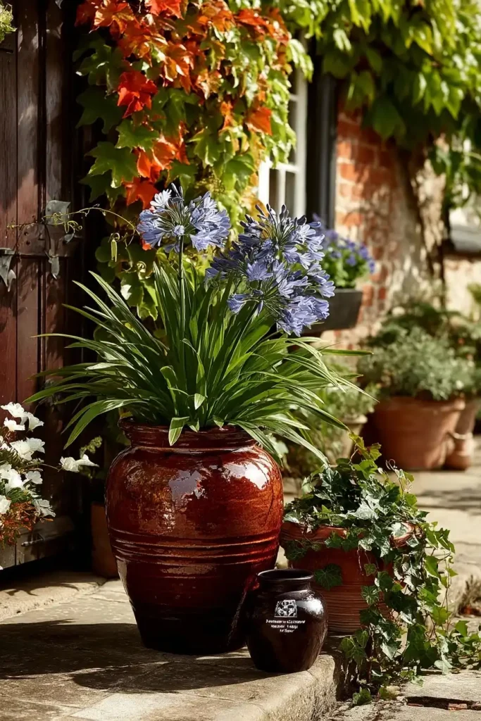 les plantes fleuries pour une explosion de couleurs