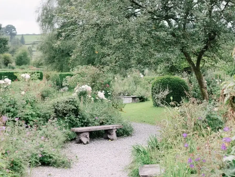 créer un jardin anglais guide complet pour un espace romantique et sauvage
