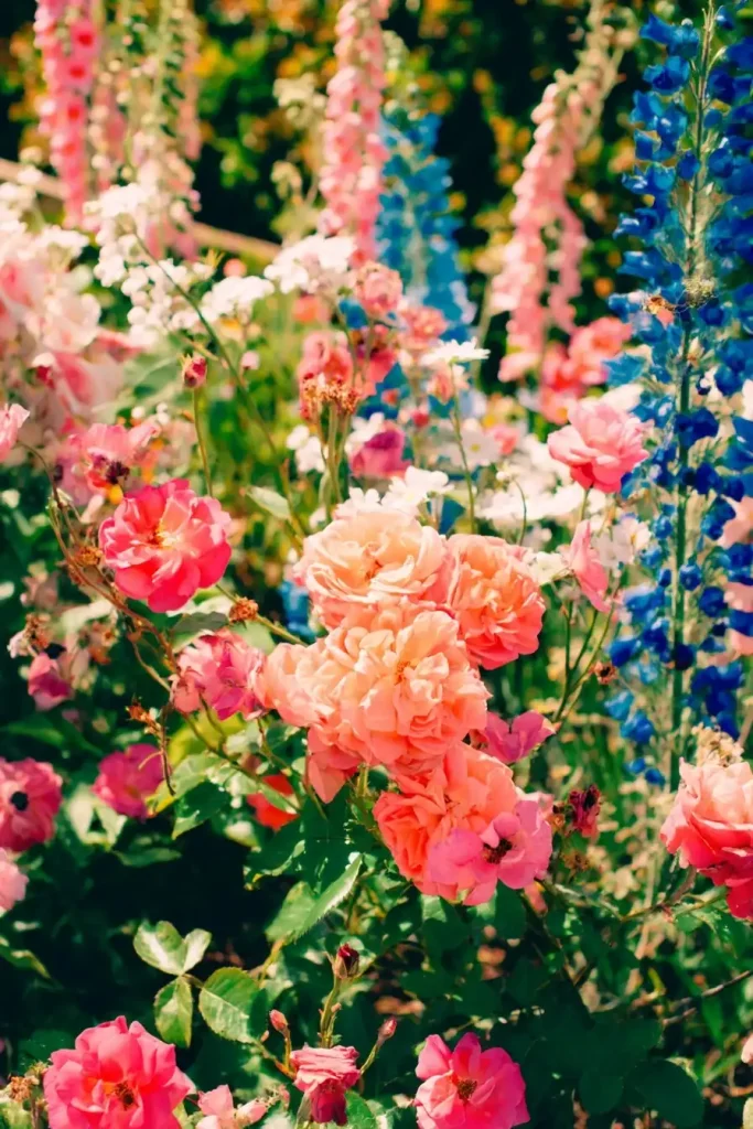 les plantes emblématiques pour un authentique jardin anglais