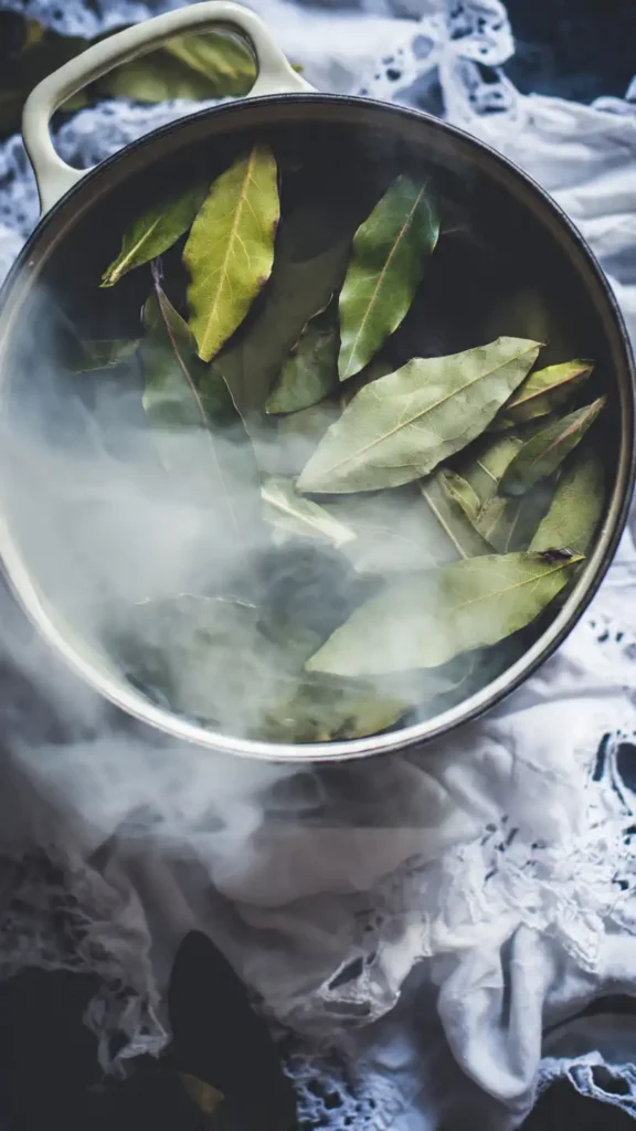l'eau chaude avec les feuilles de laurier