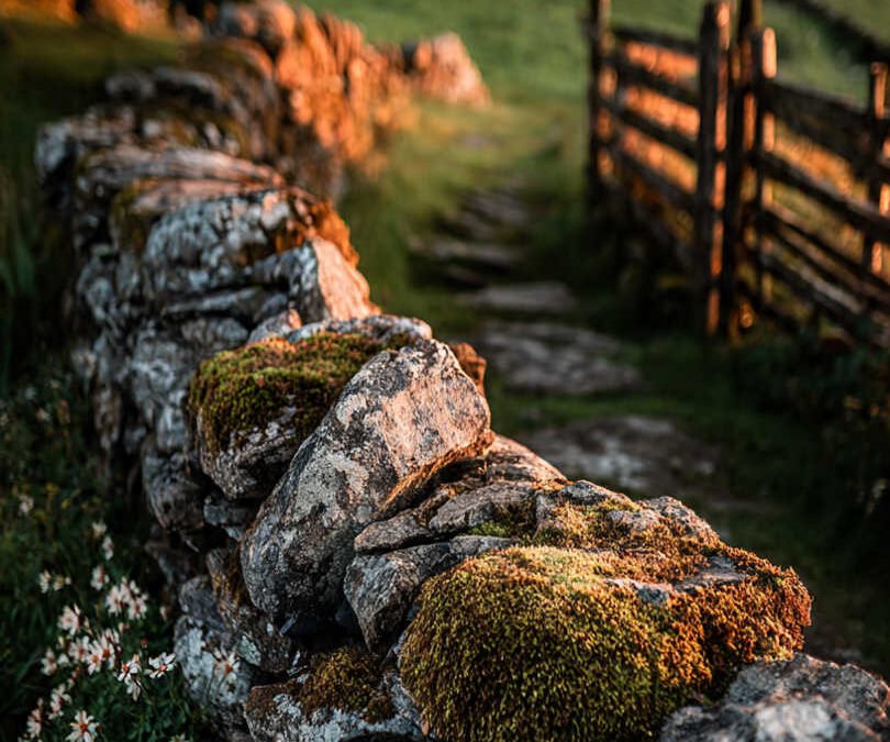 Mur en Pierre Sèche : Le Guide Complet Entretenir ou même construire