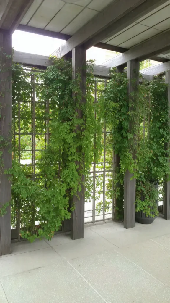 personnalisation et entretien de votre cache poubelle