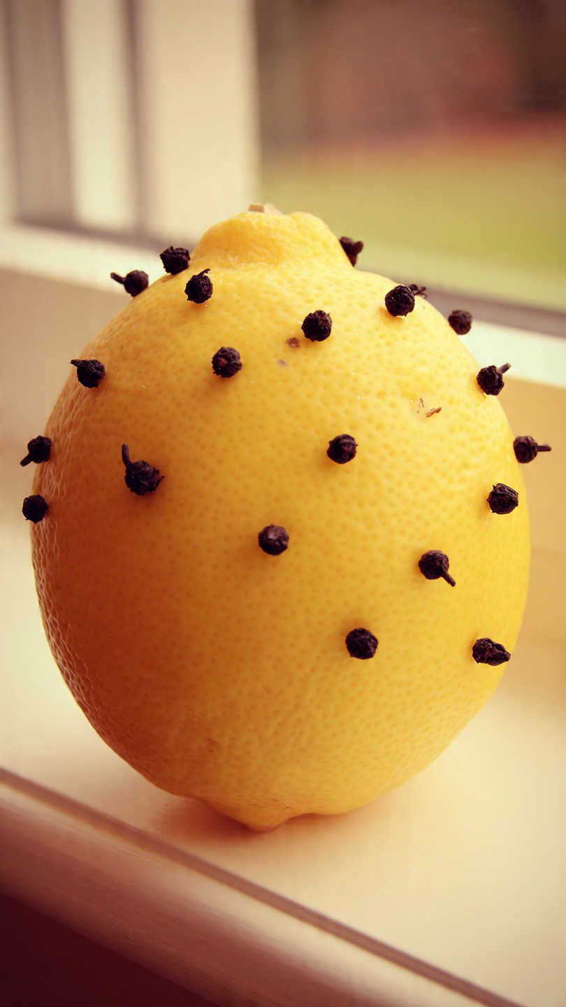 citron piqu de clous de girofle sur