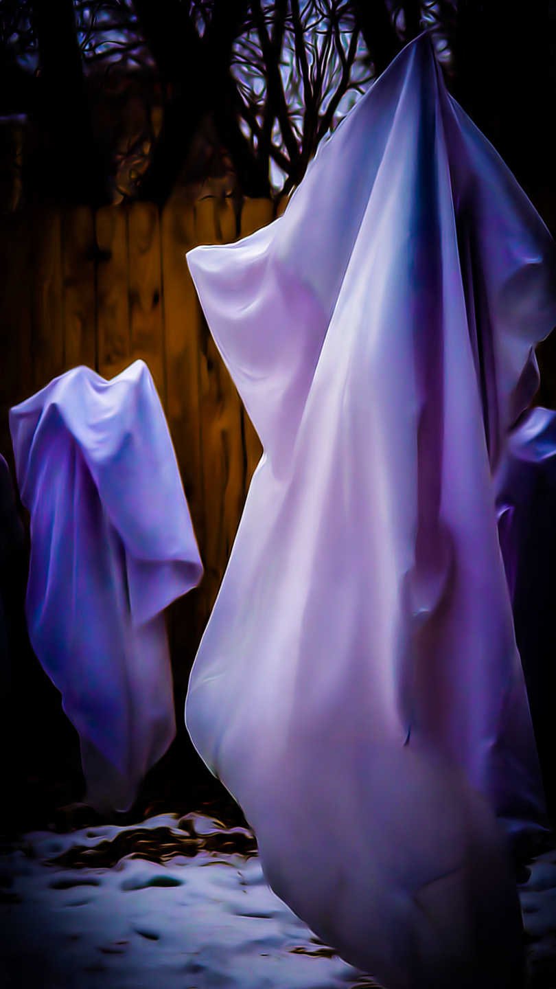 jardin familial prot g du gel nocturne avec