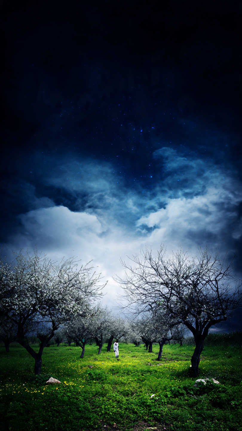 un jardinier observant le ciel en soir e