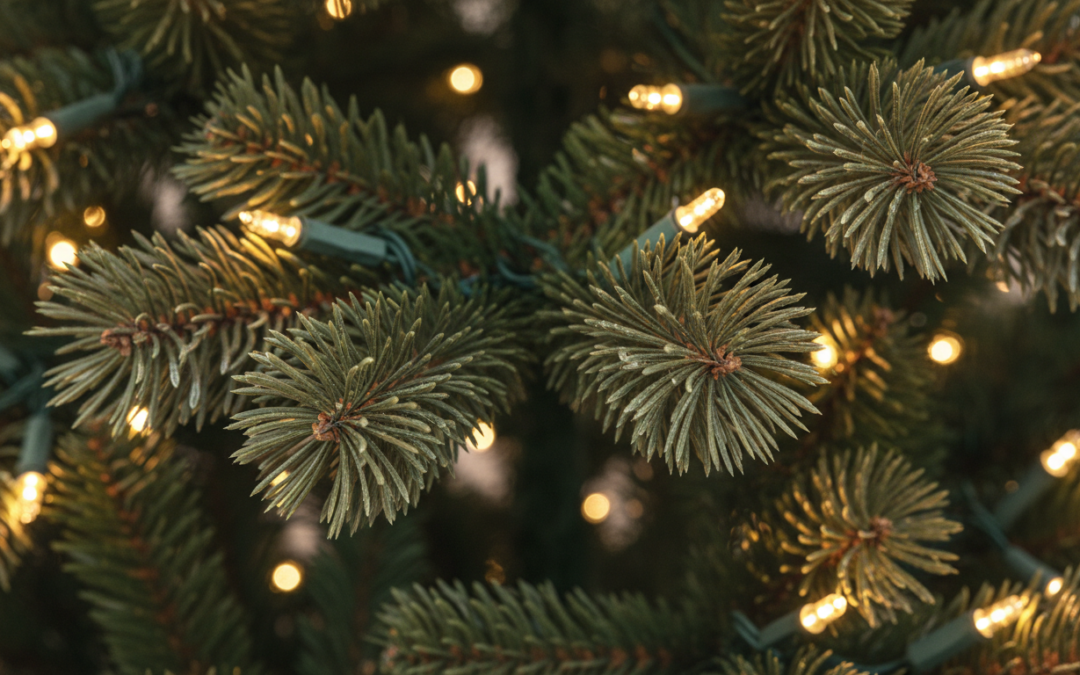 découvrez tous les avantages du sapin led ainsi que des conseils pratiques pour bien l'utiliser et créer une ambiance lumineuse idéale pour vos fêtes.